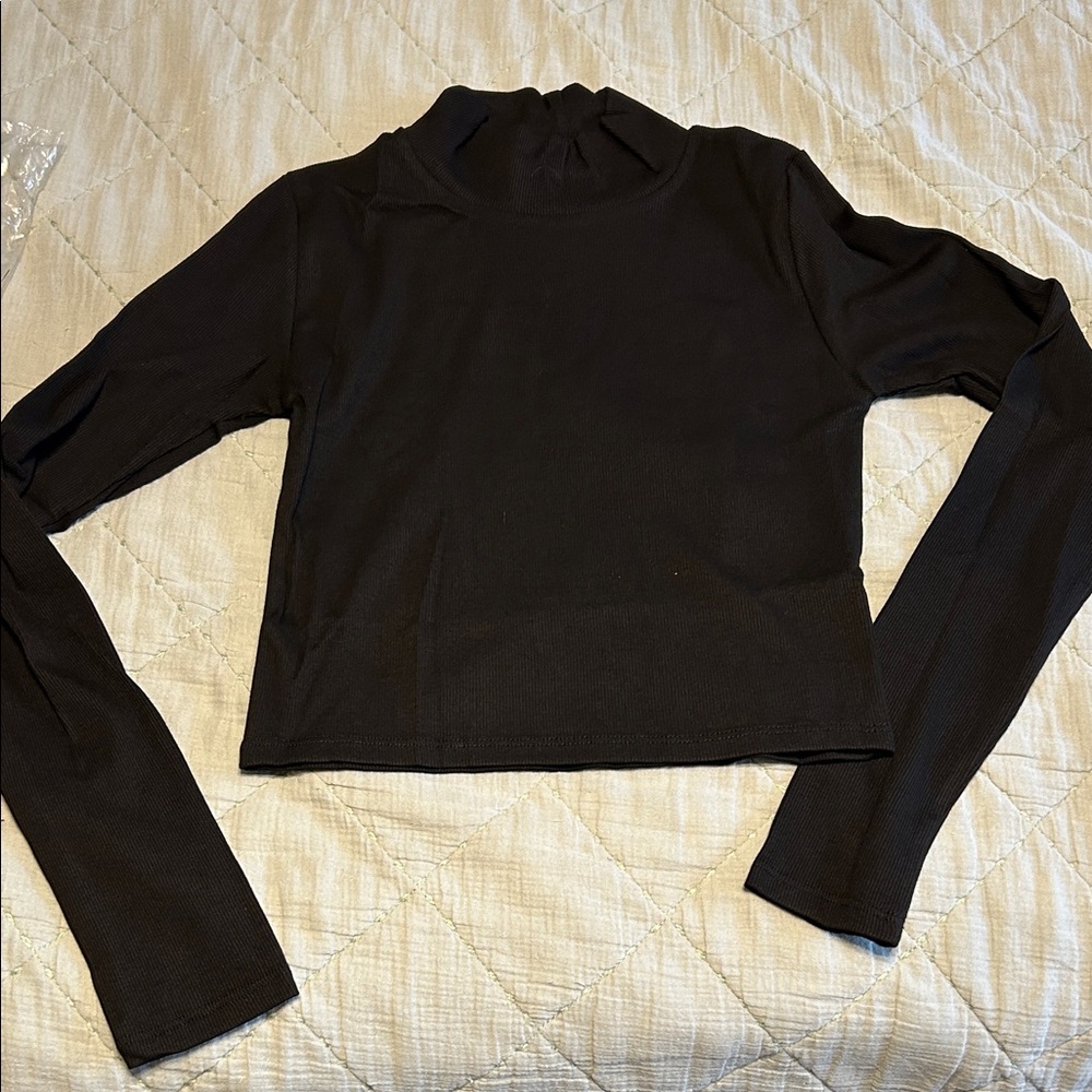 Talulah- Black Long-Sleeve Mock Neck Crop Top - Women- large